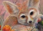 Fennec Fox