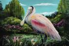 Spoonbill