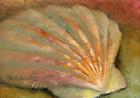 Scallop Seashell