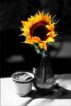 Sun Flower Vase