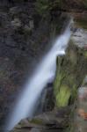 Plotters Kill Preserve Falls