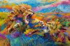 Pride Fight in the Savanna - African Lions