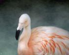 Pink flamingo 3