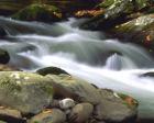 Little River Elkmont #1