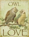 Owl Love