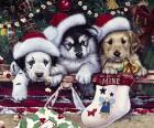 A Tail Wagging Christmas