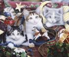 Christmas Kittens And All The Trim'Ns