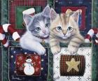 Christmas Calendar Kittens