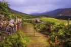 Gates on the Road at Wicklow Hills Ireland