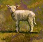 Leap Year Lamb