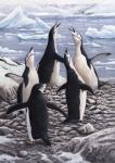 Chorus Chinstrap Penguins