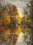 Autumn's Mirror
