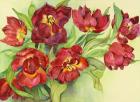 Double Red Tulips