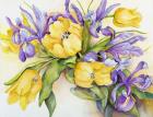Yellow Tulips with Blue Iris