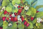 Strawberry Patch - A. Ripe on the Vine