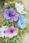 Pastel Anemones