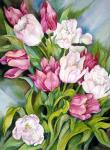 Light Pink And Dark Tulips