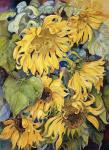 Cascading Sunflowers