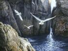 The Gulls of Puplit Rock
