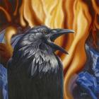 Raven Fire