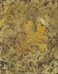 Oak Leaf