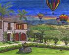 Vineyard Balloons