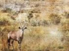 Golden Savanna Antelope