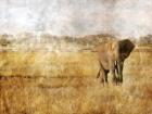 Golden Savanna Elephant