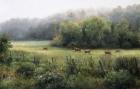 Vermont Pasture