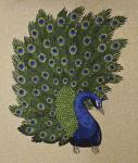 Peacock Stitched