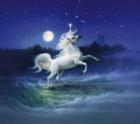 Moonlight Unicorn