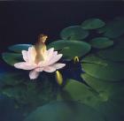 Waterlilies