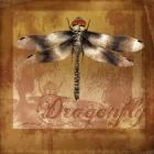 Dragonfly II