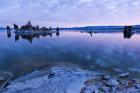 Mono Lake Dawn