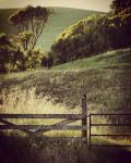 Resting on a Fencepost