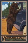 Don't Feed The Bears Yellowstone