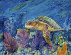 Loggerhead Turtle