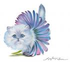 Kitten Ballerina Daisy Flower Stare Persian Cat