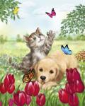 Dog and Cat with Butterflies