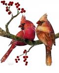 Songbirds- Cardinals and Berries