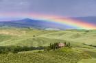 Tuscan Rainbow