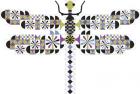 Cool Dragonfly Diva