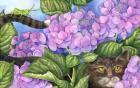 Cat in the Hydrangeas