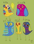Owls 3