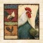 Rooster Portraits I