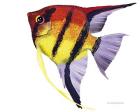 Fish 4 Red-Yellow