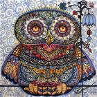 Magic Graphic Owl