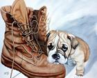 Boots Bulldog