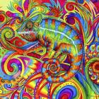 Psychedelizard