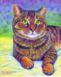 Rainbow Brown Tabby